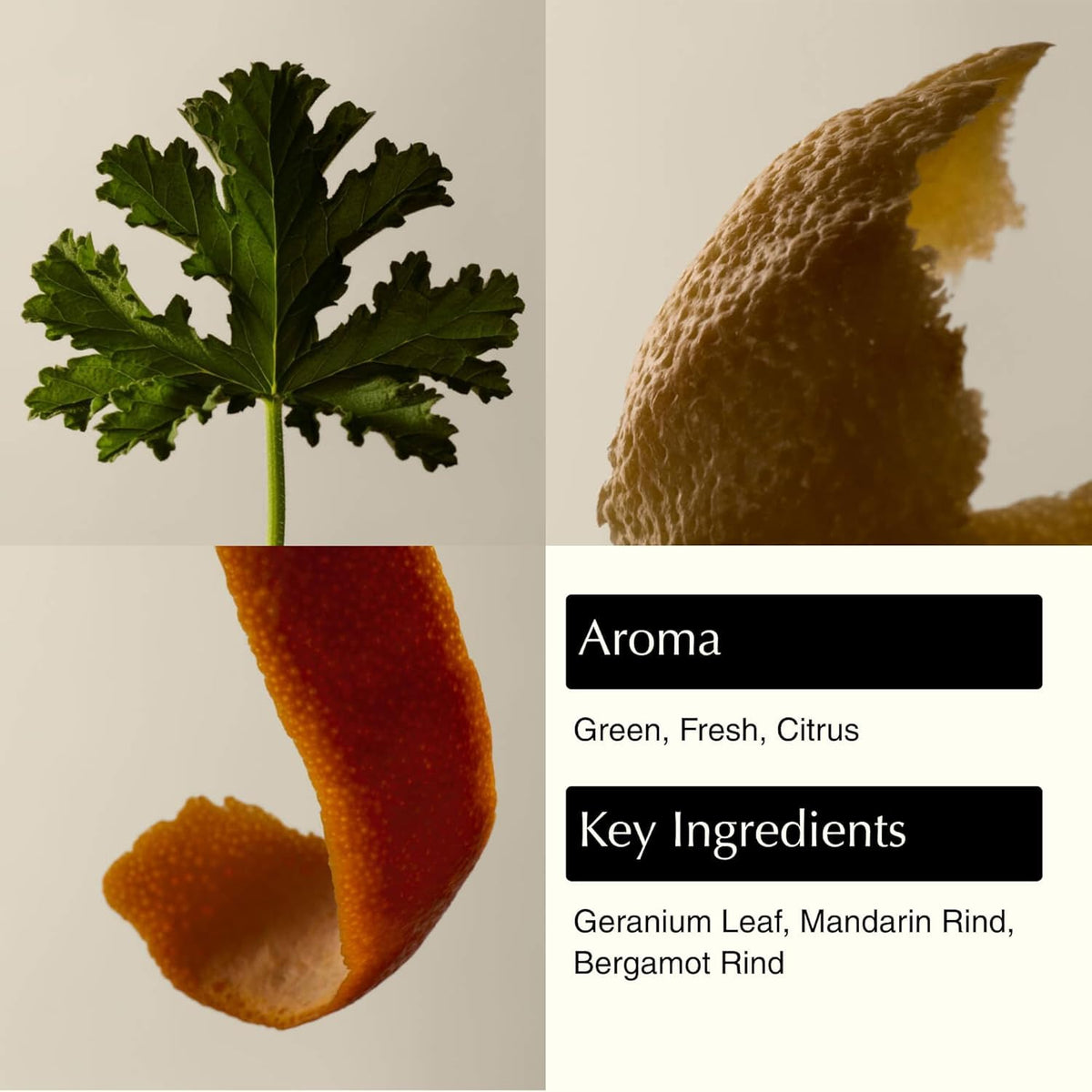 Aesop Geranium Leaf Body Cleanser | Non-Drying Gentle Cleanser | Geranium Leaf, Mandarin Rind, Bergamot Rind | 16.9 Oz / 500Ml (Pack of 3)